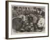 A Sketch at the Cattle-Show, Birmingham-Samuel John Carter-Framed Giclee Print