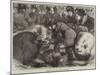 A Sketch at the Cattle-Show, Birmingham-Samuel John Carter-Mounted Giclee Print