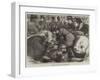 A Sketch at the Cattle-Show, Birmingham-Samuel John Carter-Framed Giclee Print