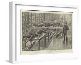 A Sketch in the Natural History Museum at South Kensington-Henri Lanos-Framed Giclee Print