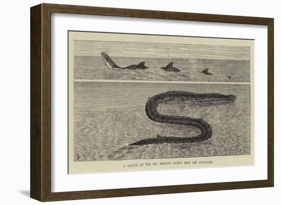 A Sketch of the Sea Serpent Lately Seen Off Galveston-null-Framed Giclee Print