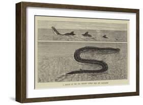 A Sketch of the Sea Serpent Lately Seen Off Galveston-null-Framed Giclee Print