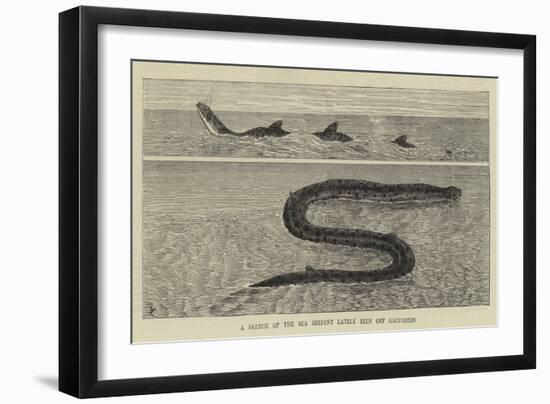 A Sketch of the Sea Serpent Lately Seen Off Galveston-null-Framed Giclee Print
