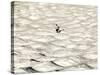 A Skier Makes His Way Down a Sea of Moguls at Sugarbush Ski Area-null-Stretched Canvas