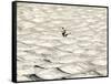 A Skier Makes His Way Down a Sea of Moguls at Sugarbush Ski Area-null-Framed Stretched Canvas