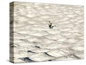 A Skier Makes His Way Down a Sea of Moguls at Sugarbush Ski Area-null-Stretched Canvas