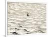 A Skier Makes His Way Down a Sea of Moguls at Sugarbush Ski Area-null-Framed Photographic Print