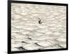 A Skier Makes His Way Down a Sea of Moguls at Sugarbush Ski Area-null-Framed Photographic Print