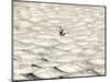 A Skier Makes His Way Down a Sea of Moguls at Sugarbush Ski Area-null-Mounted Photographic Print