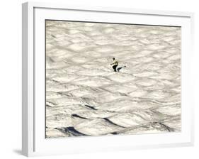 A Skier Makes His Way Down a Sea of Moguls at Sugarbush Ski Area-null-Framed Photographic Print