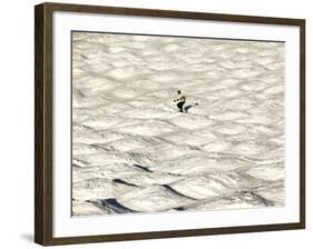 A Skier Makes His Way Down a Sea of Moguls at Sugarbush Ski Area-null-Framed Photographic Print