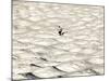 A Skier Makes His Way Down a Sea of Moguls at Sugarbush Ski Area-null-Mounted Photographic Print