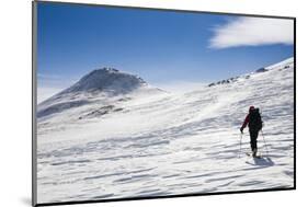 A Skier Travels Near Ptarmigan Pass in the Vail Pass Winter Recreation Area, Colorado-Sergio Ballivian-Mounted Photographic Print