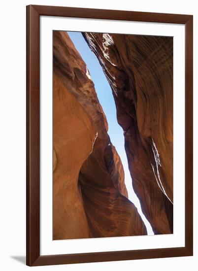 A Skylight-Andrew Geiger-Framed Giclee Print