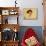A-Sleep Like a Kitten-Guido Gruenwald-Mounted Giclee Print displayed on a wall