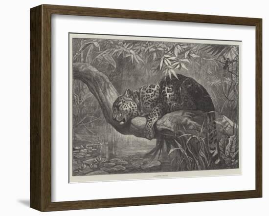 A Sleeping Beauty-null-Framed Giclee Print