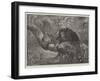 A Sleeping Beauty-null-Framed Giclee Print