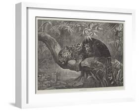 A Sleeping Beauty-null-Framed Giclee Print