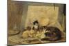 A Sleeping Cat and Kittens in an Artist's Studio-Henriette Ronner-Knip-Mounted Giclee Print