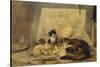 A Sleeping Cat and Kittens in an Artist's Studio-Henriette Ronner-Knip-Stretched Canvas