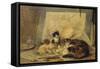 A Sleeping Cat and Kittens in an Artist's Studio-Henriette Ronner-Knip-Framed Stretched Canvas