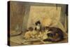 A Sleeping Cat and Kittens in an Artist's Studio-Henriette Ronner-Knip-Stretched Canvas