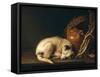 A Sleeping Dog with Terracotta Pot, 1650-Gerrit or Gerard Dou-Framed Stretched Canvas