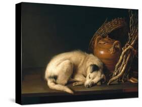 A Sleeping Dog with Terracotta Pot, 1650-Gerrit or Gerard Dou-Stretched Canvas