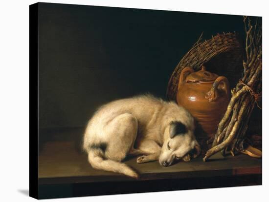 A Sleeping Dog with Terracotta Pot, 1650-Gerrit or Gerard Dou-Stretched Canvas