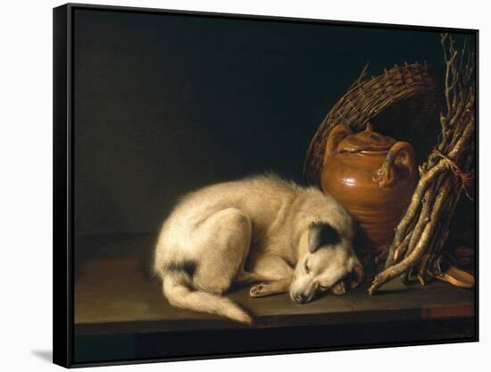 A Sleeping Dog with Terracotta Pot, 1650-Gerrit or Gerard Dou-Framed Stretched Canvas