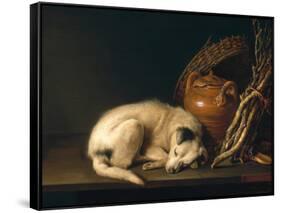 A Sleeping Dog with Terracotta Pot, 1650-Gerrit or Gerard Dou-Framed Stretched Canvas