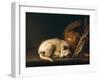 A Sleeping Dog with Terracotta Pot, 1650-Gerrit or Gerard Dou-Framed Giclee Print