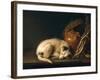 A Sleeping Dog with Terracotta Pot, 1650-Gerrit or Gerard Dou-Framed Giclee Print