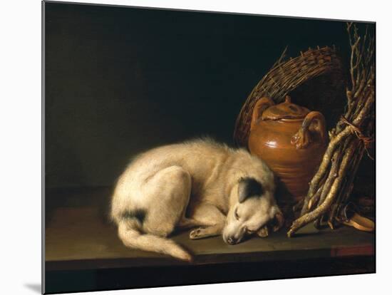 A Sleeping Dog with Terracotta Pot, 1650-Gerrit or Gerard Dou-Mounted Giclee Print