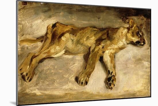 A Sleeping Lioness, C.1830-Eugene Delacroix-Mounted Giclee Print