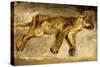 A Sleeping Lioness, C.1830-Eugene Delacroix-Stretched Canvas