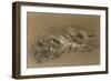 A Sleeping Tiger, 1876-William Huggins-Framed Giclee Print