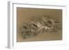 A Sleeping Tiger, 1876-William Huggins-Framed Giclee Print