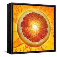 A Slice of Blood Orange-Karl Newedel-Framed Stretched Canvas