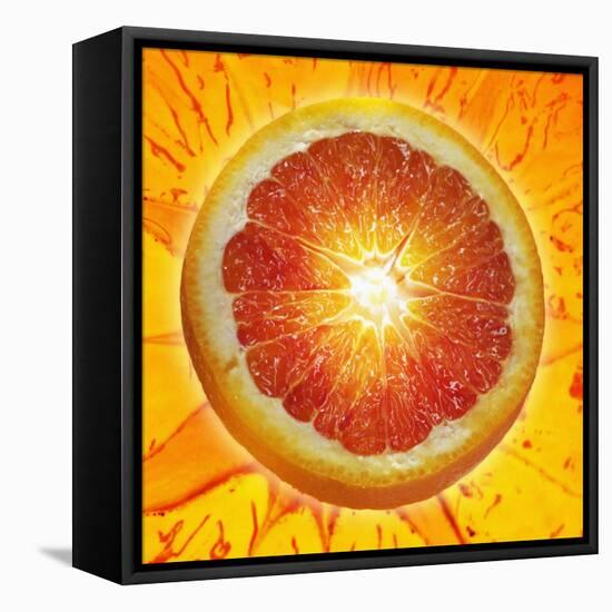 A Slice of Blood Orange-Karl Newedel-Framed Stretched Canvas