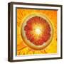 A Slice of Blood Orange-Karl Newedel-Framed Premium Photographic Print