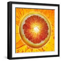 A Slice of Blood Orange-Karl Newedel-Framed Premium Photographic Print