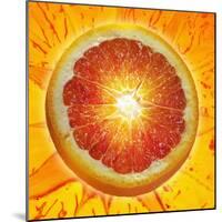 A Slice of Blood Orange-Karl Newedel-Mounted Photographic Print