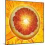 A Slice of Blood Orange-Karl Newedel-Mounted Photographic Print