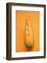 A Slice of Cantaloupe Melon-Foodcollection-Framed Photographic Print