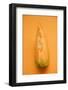 A Slice of Cantaloupe Melon-Foodcollection-Framed Photographic Print