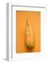 A Slice of Cantaloupe Melon-Foodcollection-Framed Photographic Print