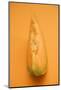 A Slice of Cantaloupe Melon-Foodcollection-Mounted Photographic Print