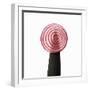 A Slice of Red Onion on a Knife-Alexander Feig-Framed Photographic Print