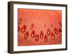 A Slice of Watermelon-Marc O^ Finley-Framed Photographic Print